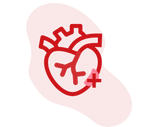 Heart health icon