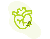 Heart health icon