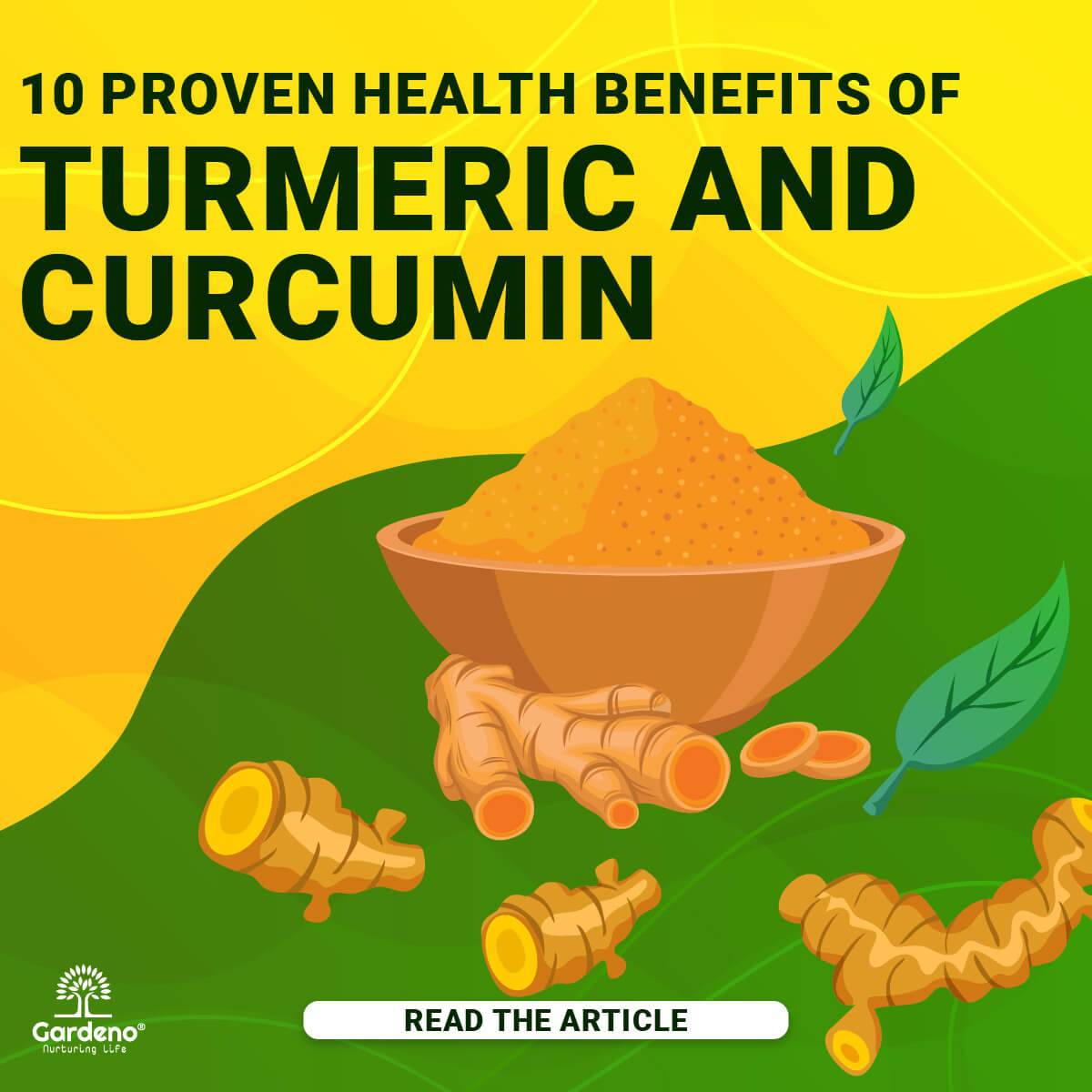 10 Proven Health Benefits of Turmeric and Curcumin 