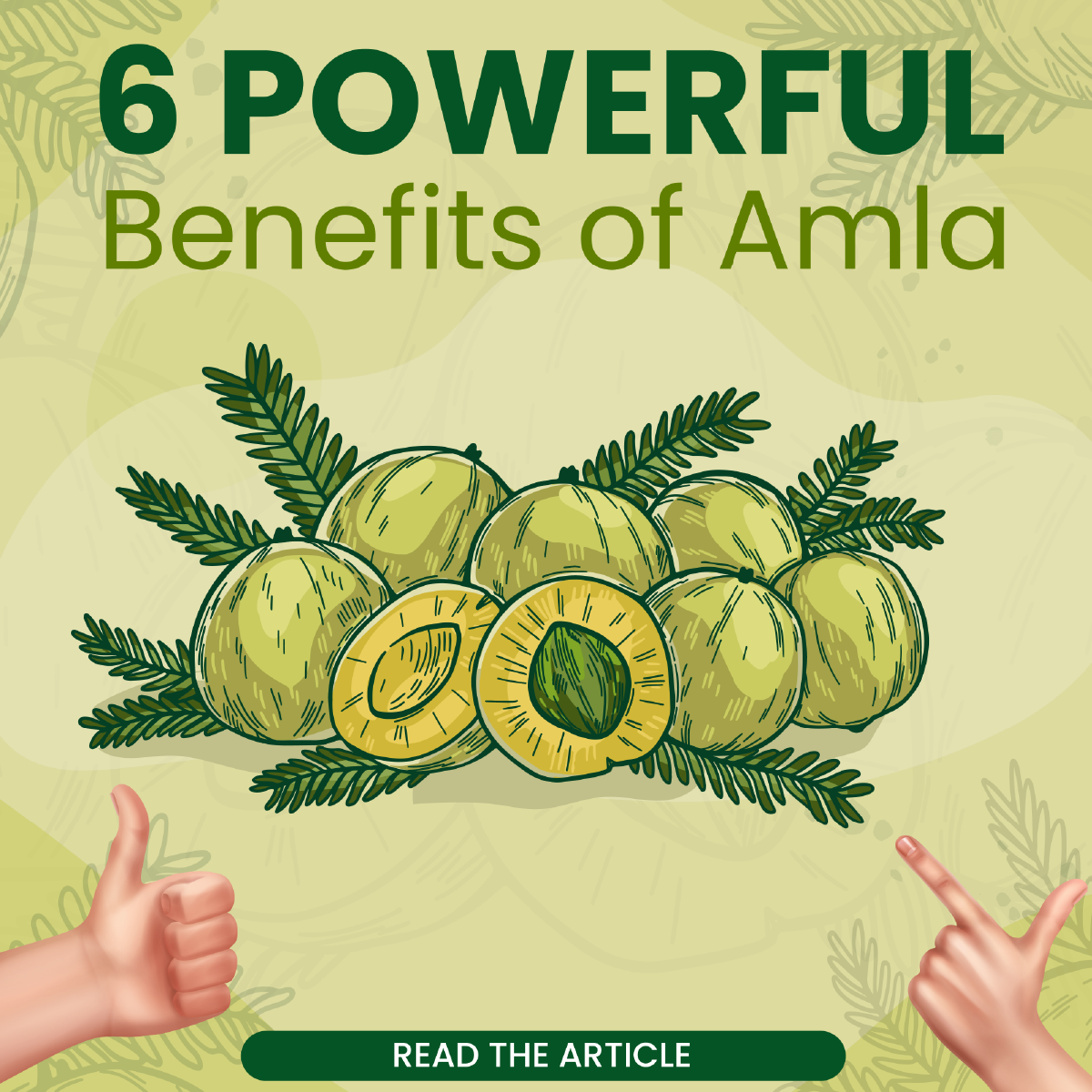 6 Powerful Benefits of Amla
